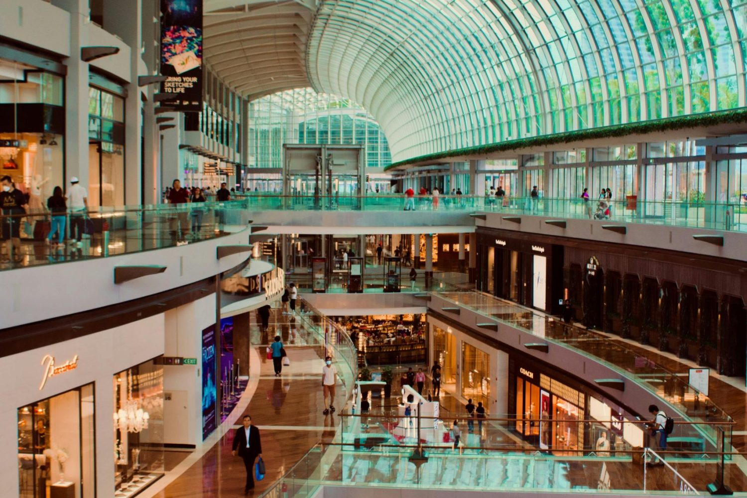 pexels-brewoodsy-16992730